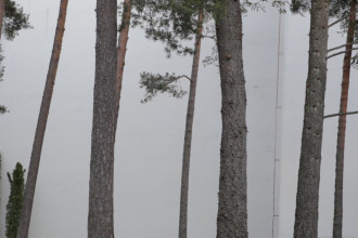 Still image from A Spring, the second part of the series of works