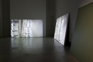 nstallation shot at Photographic Gallery Hippolyte, Helsinki / FIN / 2016